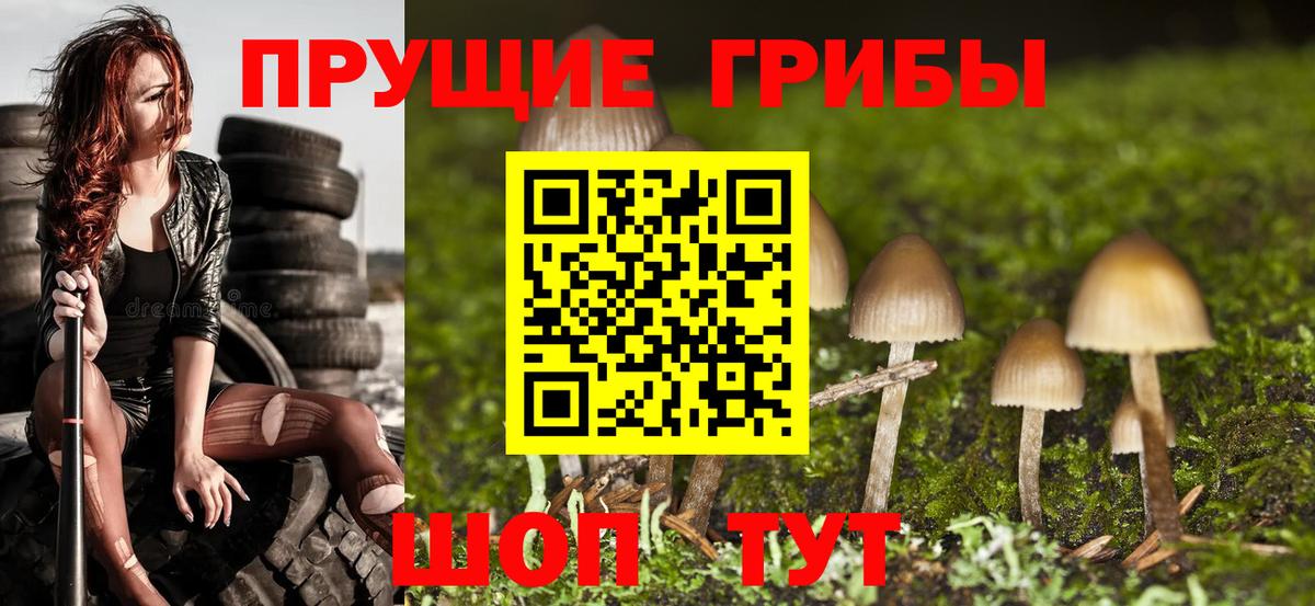 Псилоцибиновые грибы Magic Shrooms  Псилоцибиновые грибы GOLDEN TEACHER  Вход с VPN  Фурманов 